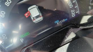 Toyota Rav-4 2.5 hybrid  179kw   navi  clima  4x4 picture 7