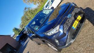 Toyota Rav-4 2.5 hybrid  179kw   navi  clima  4x4 picture 9