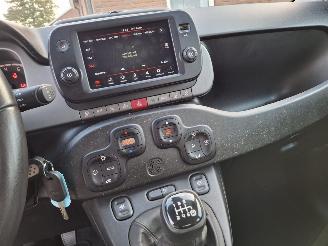 Fiat Panda 1.0 hybrid  cross   52kw  navi clima picture 11