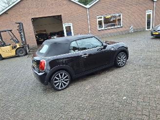 Damaged car Mini Cabrio 1.5i  100kw  cooper navi cabrio 2019/5