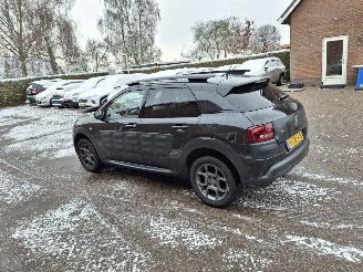 Citroën C4 cactus 1.2i  shine navi   clima picture 3