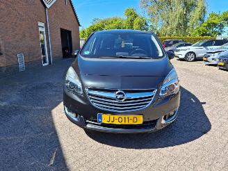 Opel Meriva 1.4i  88kw    navi clima picture 2
