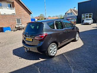 Opel Meriva 1.4i  88kw    navi clima picture 3