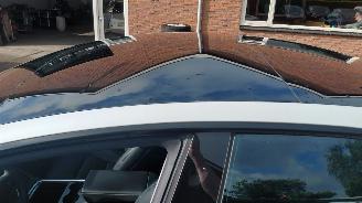 Tesla Model 3 rwd   60kw pano navi clima   238pk picture 9