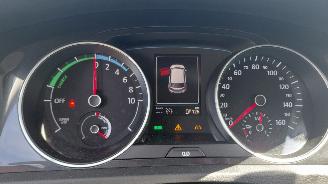 Volkswagen e-Golf 100kw clima  leer picture 6