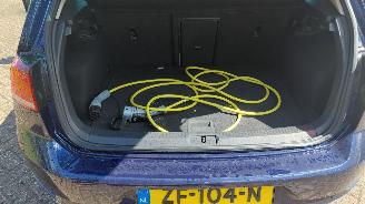 Volkswagen e-Golf 100kw clima  leer picture 9