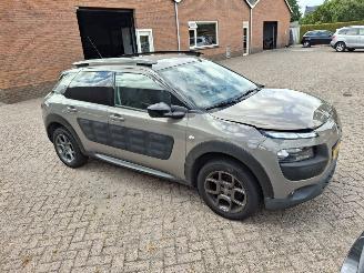 Citroën C4 cactus 1.2 82pk shine clima  navi picture 2