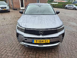 Opel Grandland 1.6 hybrid plug in     navi clima picture 5
