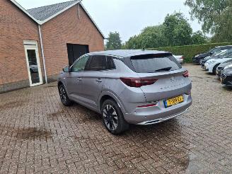 Opel Grandland 1.6 hybrid plug in     navi clima picture 2