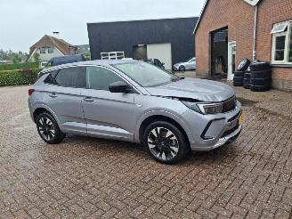 Opel Grandland 1.6 hybrid plug in     navi clima picture 6