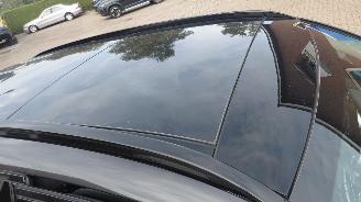 Mercedes GLC 300e hybrid  211pk  navi clima leer amg line  pano picture 11