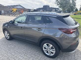 Opel Grandland GRANDLAND X 1.2 TURBO AUTOMAAT BOUWJAAR 2019 10750 EURO picture 2