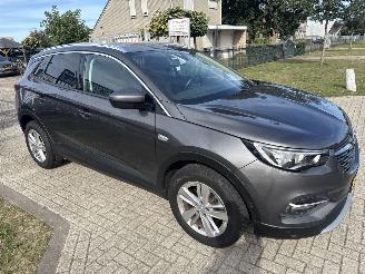 Opel Grandland GRANDLAND X 1.2 TURBO AUTOMAAT BOUWJAAR 2019 10750 EURO picture 5