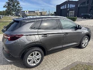 Opel Grandland GRANDLAND X 1.2 TURBO AUTOMAAT BOUWJAAR 2019 10750 EURO picture 4