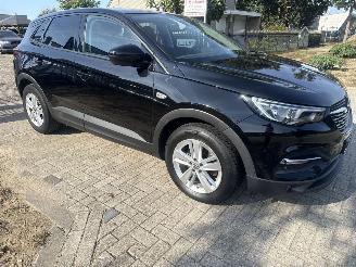 Opel Grandland 1.2 TURBO GRANDLAND X EXECUTIVE BOUWJAAR 2018  8250 EURO picture 5