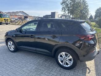 Opel Grandland 1.2 TURBO GRANDLAND X EXECUTIVE BOUWJAAR 2018  8250 EURO picture 2