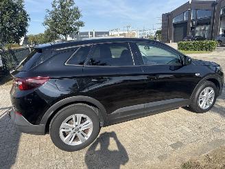 Opel Grandland 1.2 TURBO GRANDLAND X EXECUTIVE BOUWJAAR 2018  8250 EURO picture 4