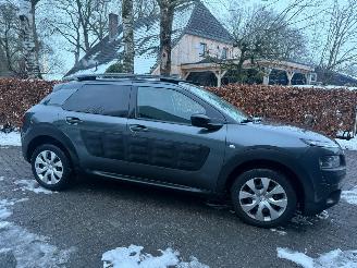 Citroën C4 cactus 1.2 AIRCO NAVI NETTE AUTO picture 3