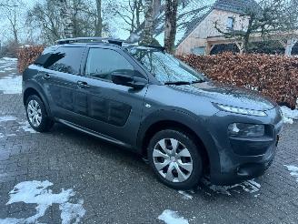 Citroën C4 cactus 1.2 AIRCO NAVI NETTE AUTO picture 2