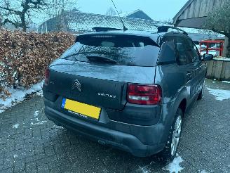 Citroën C4 cactus 1.2 AIRCO NAVI NETTE AUTO picture 5