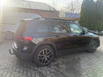 Mercedes EQB 250 AMG LINE 67 KWH  PANO VOL OPTIES picture 4