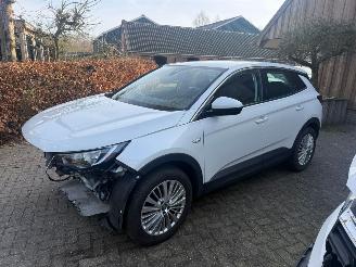 Opel Grandland X 1.2 TURBO 120 JAAR picture 9