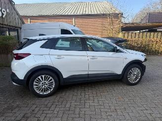 Opel Grandland X 1.2 TURBO 120 JAAR picture 5