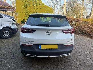 Opel Grandland X 1.2 TURBO 120 JAAR picture 3