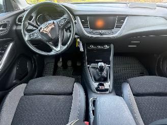 Opel Grandland X 1.2 TURBO 120 JAAR picture 11