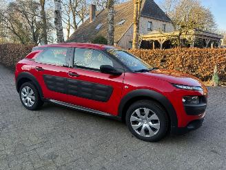 Citroën C4 cactus 1.2 AIRCO NAVI CRUISE NAP picture 2