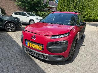 Citroën C4 cactus 1.2 AUTOMAAT  NAVI CRUISE SPORTVELGEN picture 9