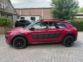 Citroën C4 cactus 1.2 AUTOMAAT  NAVI CRUISE SPORTVELGEN picture 8