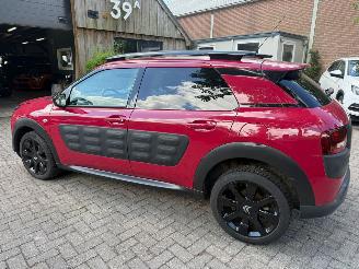 Citroën C4 cactus 1.2 AUTOMAAT  NAVI CRUISE SPORTVELGEN picture 7