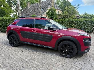Citroën C4 cactus 1.2 AUTOMAAT  NAVI CRUISE SPORTVELGEN picture 2