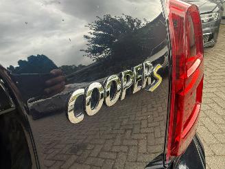 Mini Countryman COOPER SE ALL4 LEER PANO picture 13
