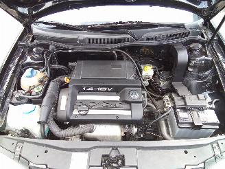 Volkswagen Golf VW GOLF IV (1J1) 1.4 16V picture 16
