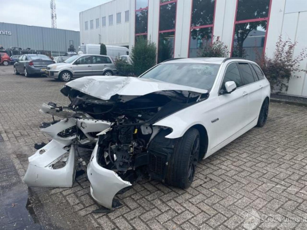 BMW 5-serie 5 serie Touring (F11), Combi, 2009 / 2017 520d 16V