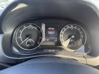 Skoda Fabia 1.0 TSI Clever GEEN SCHADE picture 14