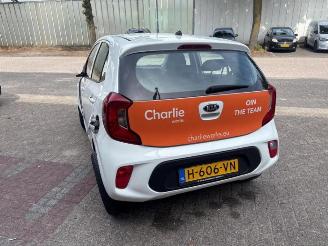 Kia Picanto Picanto (JA), Hatchback, 2017 1.0 12V picture 5