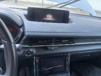 Mazda MX-30 E-SKYACTIV 145 Comfort picture 11