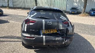 Mazda MX-30 E-SKYACTIV 145 Comfort picture 5