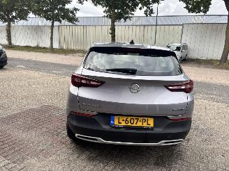 Opel Grandland X 1.5 CDTi Business Elegance picture 5