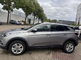 Opel Grandland X 1.5 CDTi Business Elegance picture 3