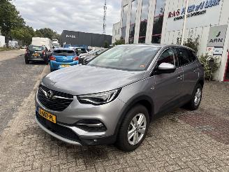 Opel Grandland X 1.5 CDTi Business Elegance picture 2