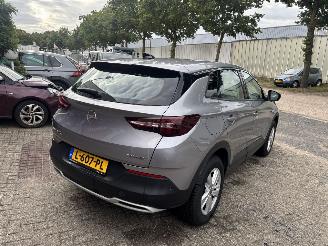 Opel Grandland X 1.5 CDTi Business Elegance picture 6