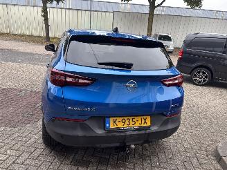 Opel Grandland X 1.2 Turbo Business Edition picture 5