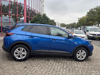 Opel Grandland X 1.2 Turbo Business Edition picture 7