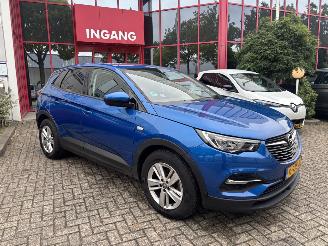 Opel Grandland X 1.2 Turbo Business Edition picture 8