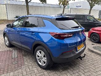 Opel Grandland X 1.2 Turbo Business Edition picture 4