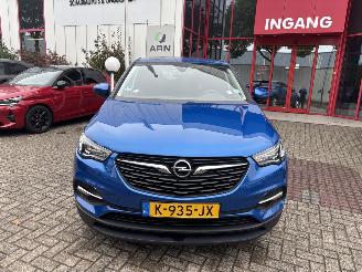 Schadeauto Opel Grandland X 1.2 Turbo Business Edition 2021/1